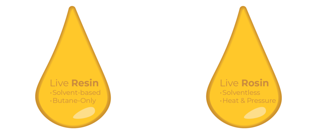 Live Resin vs Rosin