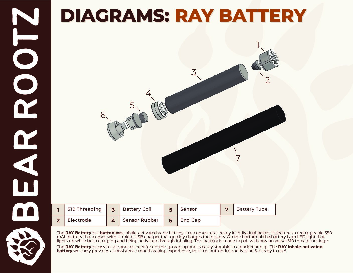 Ray Battery Diagram